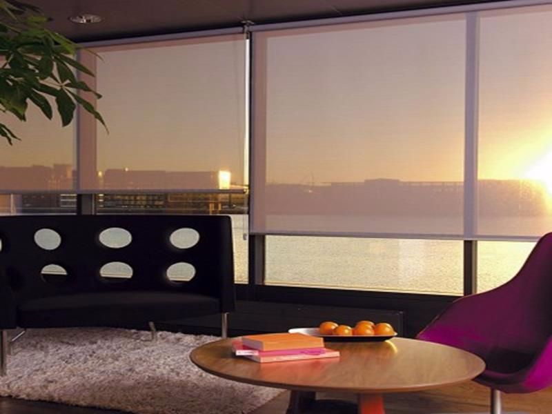 Discover the Charm and Functionality of Roller Shades